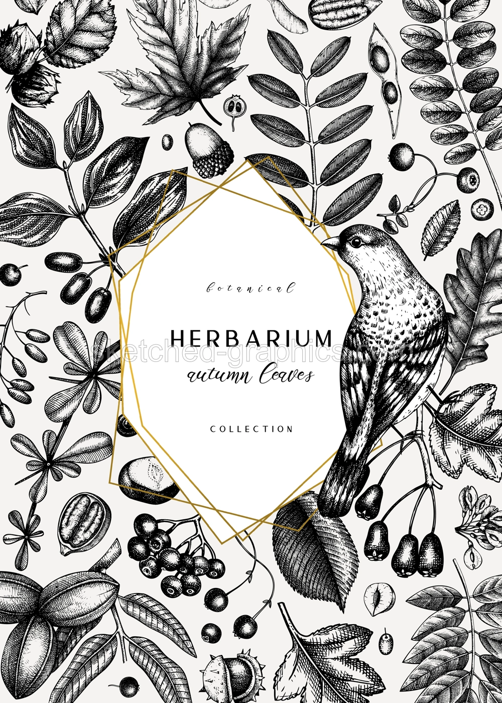 Hand sketched autumn card design. Elegant botanical template with autumn leaves, berries, seeds and bird sketches. Perfect for invitation, cards, flyers, menu, label, packaging.  Illustration
